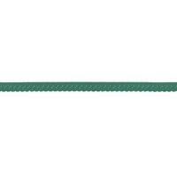 75883-Gummiband-Elastic-Abschlussspitze-Schraegband-altgruen-dunkel-Breite--1-2cm--034R-184177---034R--Elastisches-Schraegband-Luxus-Polyamid--Dunkles-Altes-Gruen-.jpg