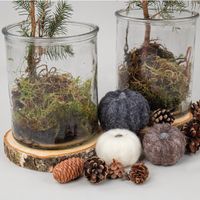 Rayher Holzscheiben natur 3 Stück 10-12cm