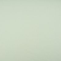 Organic Bio French Terry uni mint 1.50m Breite