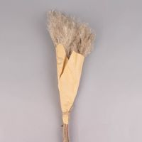 76997-Pampasgras-Buendel-getrocknet-Naturmaterialien-natur-ca-90cm-KW44-2021-169447Capture0020.jpg Pampasgras Bündel getrocknet Naturmaterialien natur 90cm