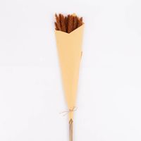77001-Pampasgras-getrocknet-Naturmaterialien-rostbraun-ca-75cm-KW44-2021-169453Capture0026.jpg Pampasgras getrocknet Naturmaterialien rostbraun ca.75cm
