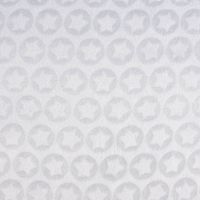 77289-Wellness-Fleece-Relief-Sterne-einfarbig-hellgrau-1-5m-Breite-KW46-2021-170988Capture0010.jpg Wellness Fleece Relief Sterne einfarbig hellgrau 1.5m Breite