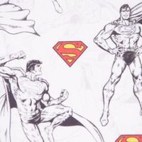 77750-Baumwollstoff-Popeline-Digitaldruck-Superman-weiss-schwarz-rot-gelb-1-5m-Breite-KW5-2022-174742Capture0056.jpg Baumwollstoff Popeline Digitaldr. Superman™© weiß schwarz rot gelb 1.5