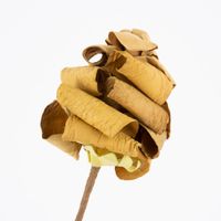 78891-Kunstblume-Papierblume-handgefertigt-Rose-gelbgruen-35cm-KW8-2022-181292Capture0042.jpg Kunstblume Papierblume handgefertigt Rose gelbgrün 35cm
