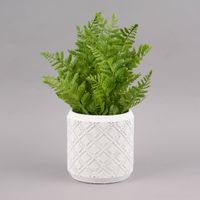 Pflanztopf Rautenmuster geprägt Beton weiß 14.5x14cm