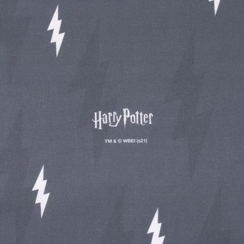 Baumwollstoff Popeline Digitaldr. Harry Potter Schriftzug Blitz grau w