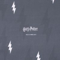 Baumwollstoff Popeline Digitaldr. Harry Potter Schriftzug Blitz grau w