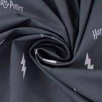 Baumwollstoff Popeline Digitaldr. Harry Potter Schriftzug Blitz grau w