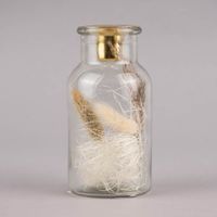 Kerzenhalter mit Trockenblumen Glas Metall 13x6.5cm verschiedene Varianten