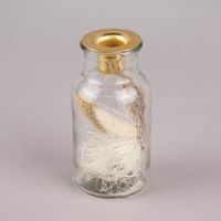 80483-Kerzenhalter-mit-Trockenblumen-Glas-Metall-13x6-5cm-verschiedene-Varianten-KW28-2022-193671Capture0093.jpg Kerzenhalter mit Trockenblumen Glas Metall 13x6.5cm verschiedene Varianten
