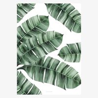Print Tropical No. 8 Papier weiß grün A5 oder A4