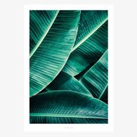 80591-Print-Junglelow-No--7-Papier-weiss-gruen-A5-oder-A4-junglelow-no7.jpg Print Junglelow No. 7 Papier weiß grün A5 oder A4