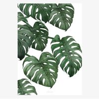 Print Tropical No. 6 Papier weiß grün A5 oder A4