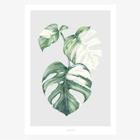 Print Tropical No. 5 Papier weiß grün A5 oder A4