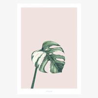 Print Tropical No. 11 Papier weiß rosa grün A5 oder A4