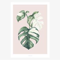Print Tropical No. 4 Papier weiß rosa grün A5 oder A4