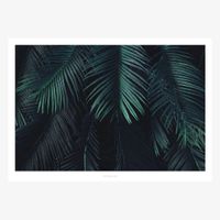 Print Junglelow No. 5 Papier weiß schwarz grün A5 oder A4