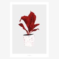 Print Wallplant No. 1 Papier weiß grau rot A5 oder A4