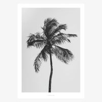 Print All About Palms No. 9 Papier weiß schwarz A5 oder A4