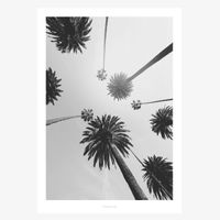80611-Print-All-About-Palms-No--7-Papier-weiss-schwarz-A5-oder-A4-all-about-palms-no7.jpg Print All About Palms No. 7 Papier weiß schwarz A5 oder A4