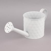 Pflanztopf Gießkanne Prägemuster einfarbig weiß 32x12.5x12cm