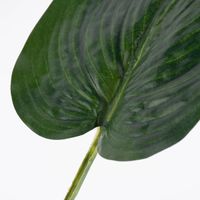 Kunstzweig Blatt Hosta grün 43x16.5cm