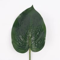 80660-Kunstzweig-Blatt-Hosta-gruen-43x16-5cm--KW29-2022-194896Capture0022.jpg Kunstzweig Blatt Hosta grün 43x16.5cm