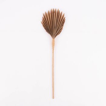 Dekozweig Blatt recyceltes Papier natur 44-46cm verschiedene Formen