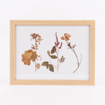 Bild mit Trockenblumen natur weiß bunt 43x33x1cm verschiedene Motive