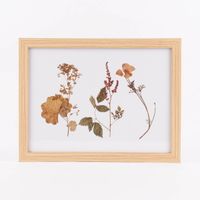 80817-Bild-mit-Trockenblumen-natur-weiss-bunt-43x33x1cm-verschiedene-Motive--KW30-2022-195479Capture0050.jpg Bild mit Trockenblumen natur weiß bunt 43x33x1cm verschiedene Motive