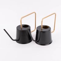 Gießkanne aus Metall schwarz goldfarbig 15.5x38.5x23cm verschiedene Varianten