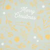 Grafik Werkstatt Geschenkbeutel aus Stoff Weihnachten Merry Christmas Zweige mintgrün gold 20x28cm