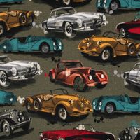 Sweatstoff Digitaldruck Oldtimer Autos grün rot gelb petrol 1.45m