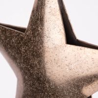 Deko Hänger groß Stern strukturiert Aluminium bronzefarbig 20x20cm