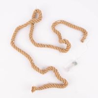 Lichterkette Seil mit 20 LED-Lichtern warm Indoor 200cm