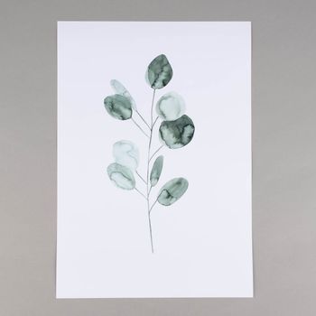 Print Eukalyptus Papier weiß grün A3 29.7x42cm