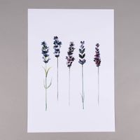 82715-Print-Lavendel-einzelne-Zweige-Papier-weiss-violett-gruen-A3-29-7x42cm-KW49-2022-207768Capture0011.jpg Print Lavendel einzelne Zweige Papier weiß violett grün A3 29.7x42cm