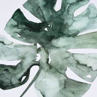 Print Monstera Deliciosa Papier weiß grün A3 29.7x42cm