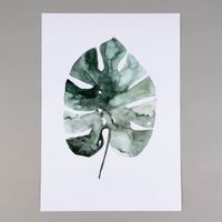 82717-Print-Monstera-Deliciosa-Papier-weiss-gruen-A3-29-7x42cm-KW49-2022-207765Capture0008.jpg Print Monstera Deliciosa Papier weiß grün A3 29.7x42cm