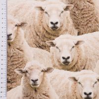 82902-Dekostoff-Baumwollstoff-Halbpanama-Sheep-Flock-Schafherde-beige-1-40m-Breite-KW3-2023-209210Capture0107.jpg Dekostoff Baumwollstoff Halbpanama Sheep Flock Schafherde beige 1.40m