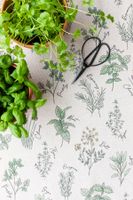 Dekostoff Herbal Culinary Kitchen Kräuter natur grün 1.40m