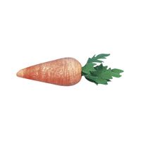 83068-Rayher-Dekostreu-Moehren-Watte-orange-gruen-2-5cm-10-Stueck-3317700-617-3.jpg Rayher Dekostreu Möhren Watte orange grün 2.5cm 10 Stück