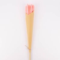 Pampasgras getrocknet Naturmaterialien pink ca.75cm