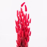 Trockenblumenstrauß Lagurus getrocknet Naturmaterial pink 70cm