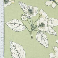 83250-Panama-Dekostoff-Baumwollstoff-Cherry-Blossom-Kirschblueten-gruen-weiss-140cm-Breite-KW9-2023-212044Capture0001.jpg Dekostoff Baumwolle Cherry Blossom Kirschblüten grün weiß 140cm