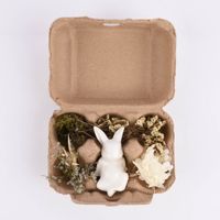 Deko-Set Ostern mit Hase und getrockneten Blumen und Gräsern Hase sitzend oder liegend in Eierschachtel 16x12x7cm