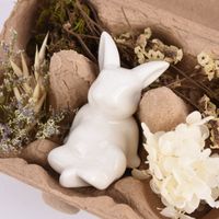 Deko-Set Ostern mit Hase und getrockneten Blumen und Gräsern Hase sitzend oder liegend in Eierschachtel 16x12x7cm