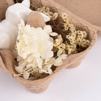 Deko-Set Ostern mit Hase und getrockneten Blumen und Gräsern Hase sitzend oder liegend in Eierschachtel 16x12x7cm