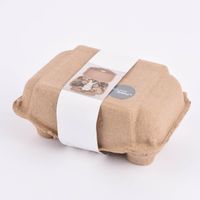 Deko-Set Ostern mit Hase und getrockneten Blumen und Gräsern Hase sitzend oder liegend in Eierschachtel 16x12x7cm