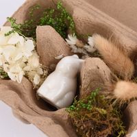 83294-Deko-Set-Ostern-mit-Hase-und-getrockneten-Blumen-und-Graesern-Hase-sitzend-oder-liegend-in-Eierschachtel-16x12x7cm-KW10-2023-212310Capture0060.jpg Deko-Set Ostern mit Hase und getrockneten Blumen und Gräsern Hase sitzend oder liegend in Eierschachtel 16x12x7cm